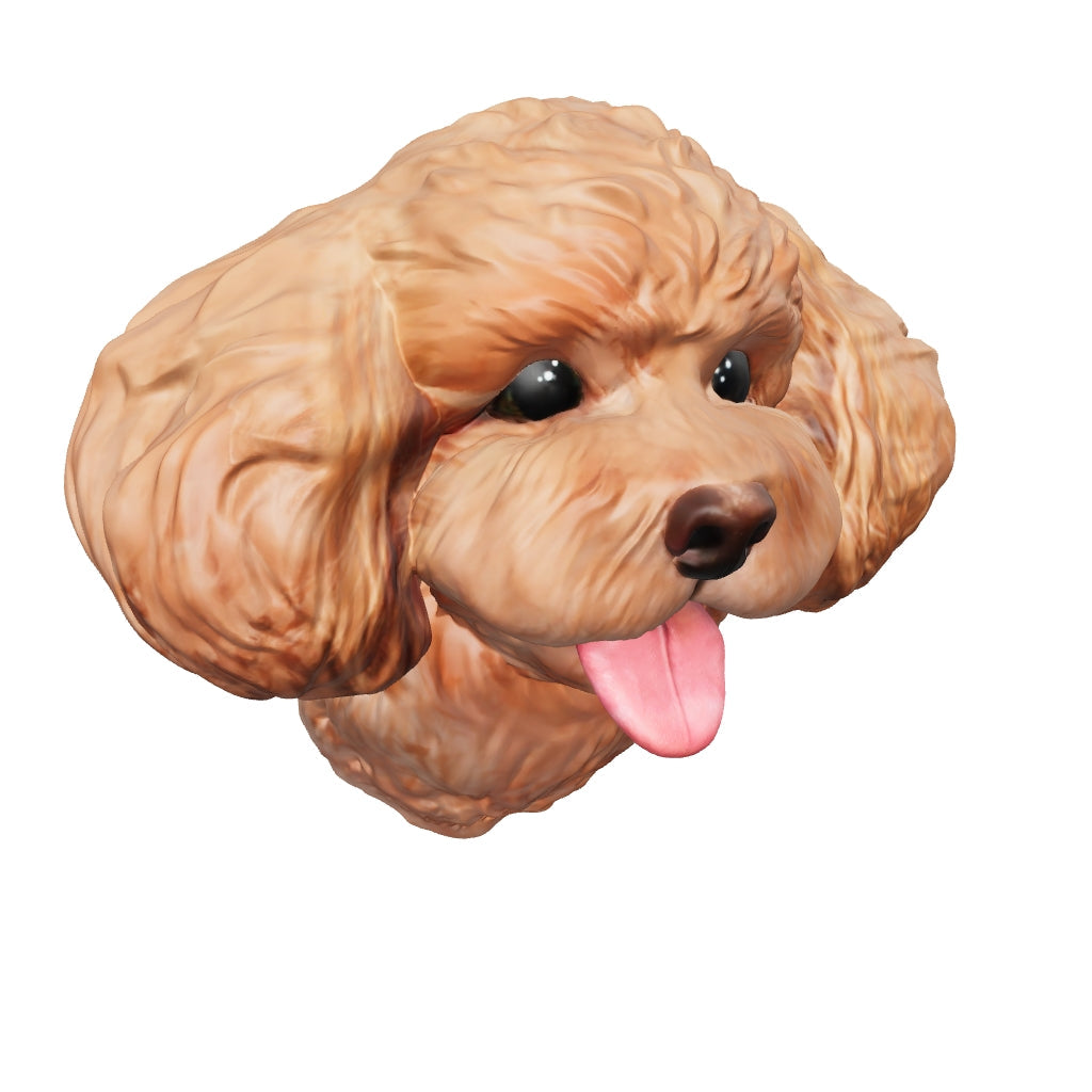 3Dモデル