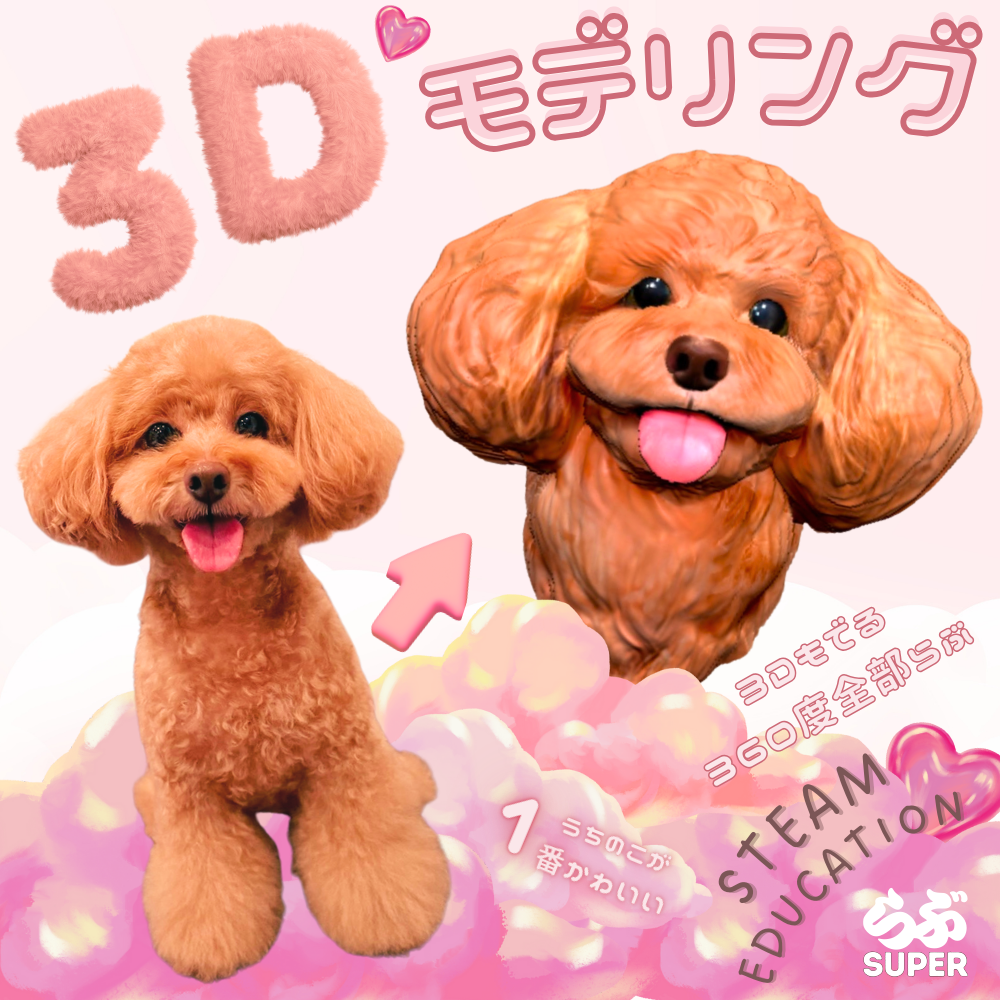 3Dモデル