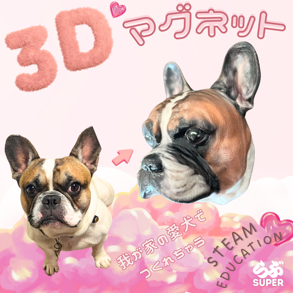 3Dマグネット