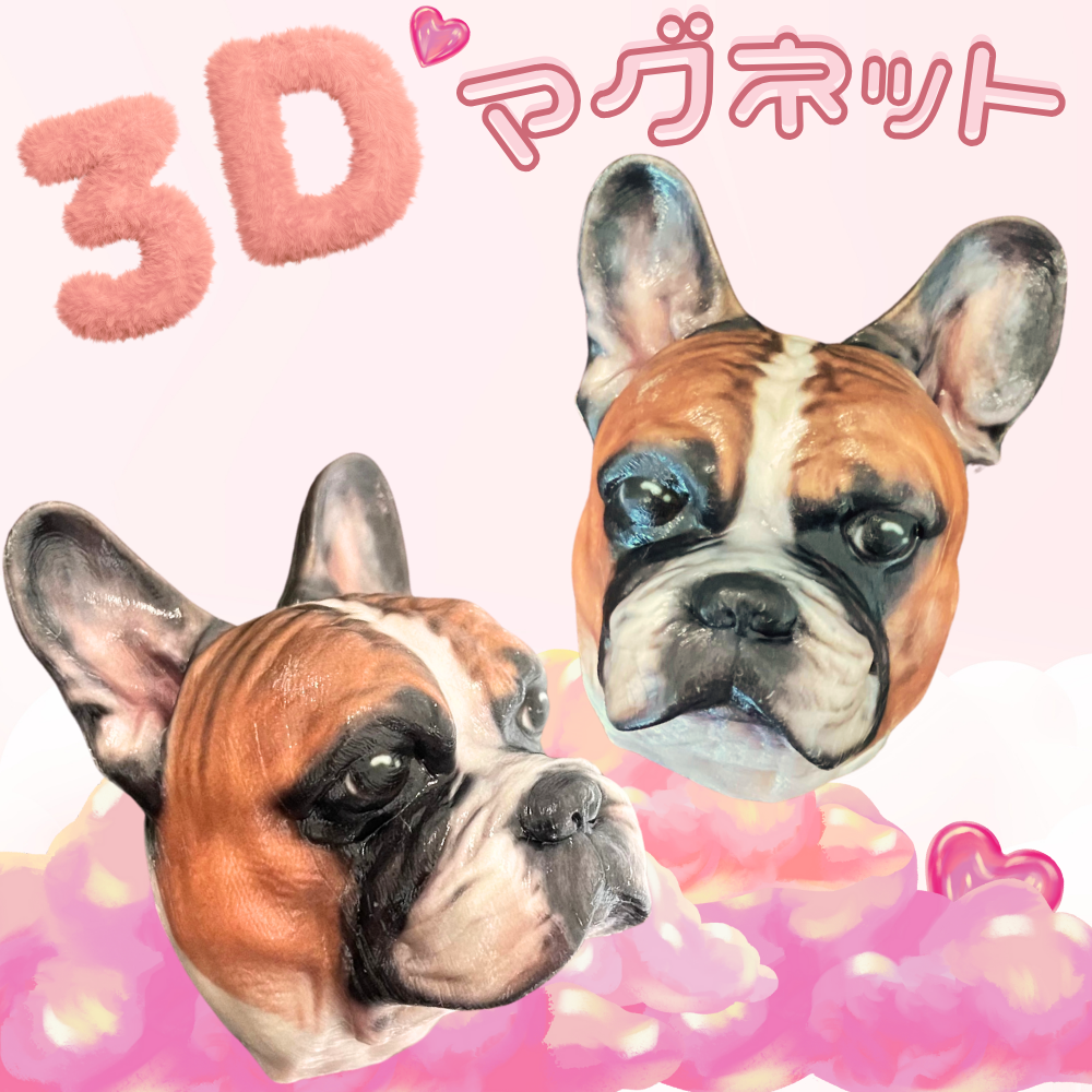 3Dマグネット
